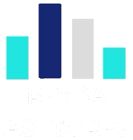 REYBA Asesores